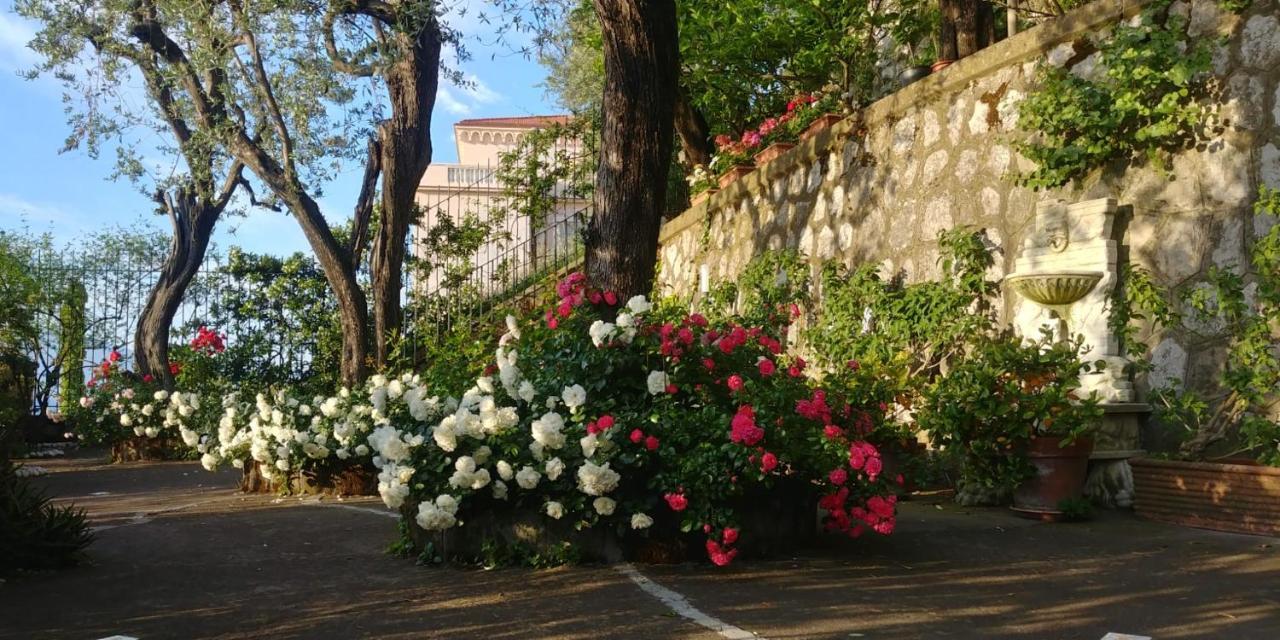 Villa L'Ulivina Sorrento Buitenkant foto