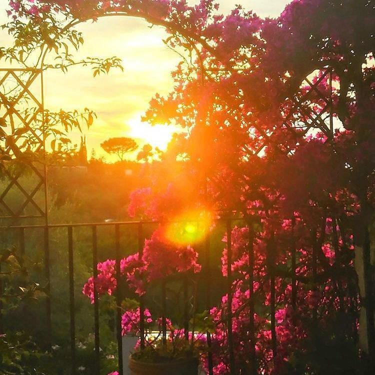 Villa L'Ulivina Sorrento Buitenkant foto
