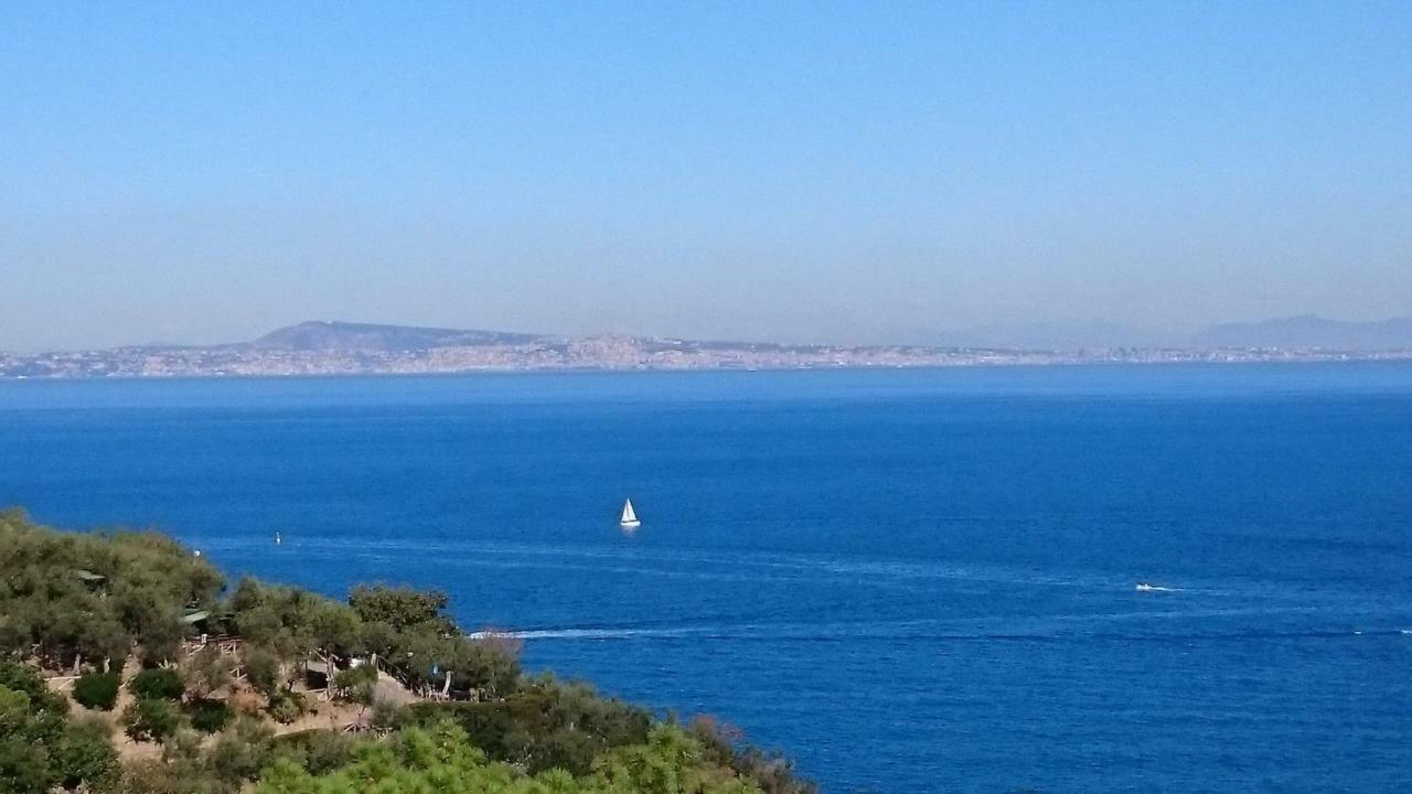 Villa L'Ulivina Sorrento Buitenkant foto