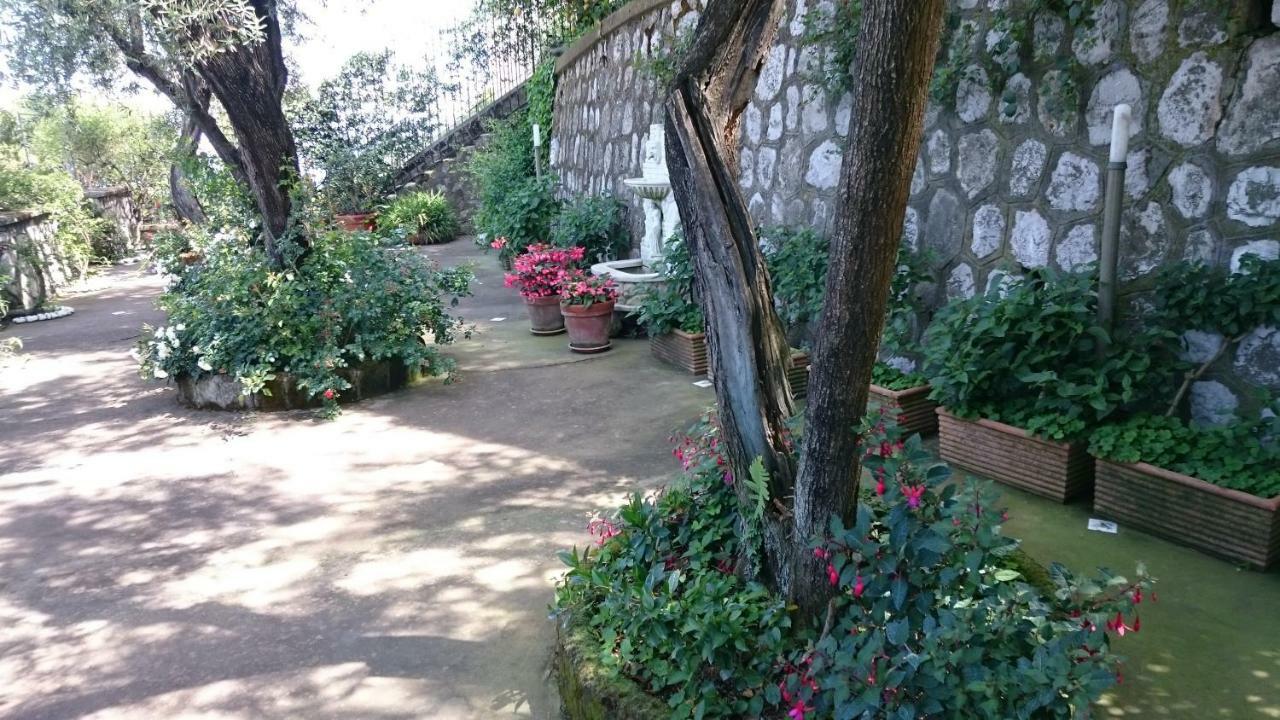 Villa L'Ulivina Sorrento Buitenkant foto