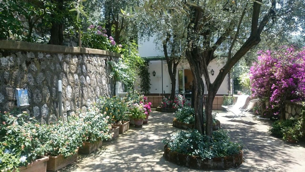 Villa L'Ulivina Sorrento Buitenkant foto