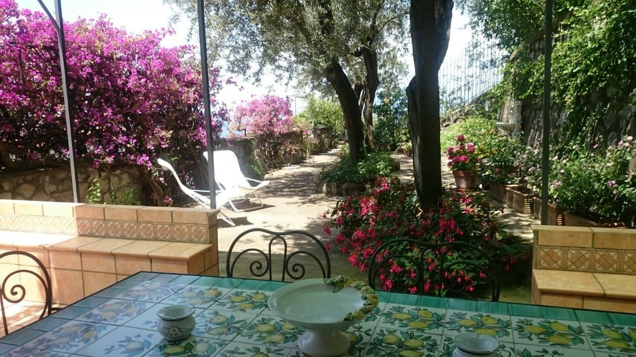 Villa L'Ulivina Sorrento Buitenkant foto