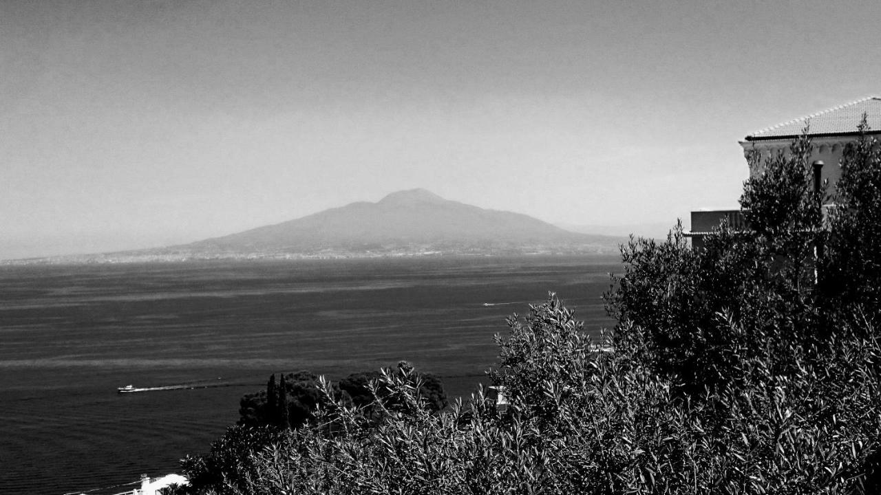 Villa L'Ulivina Sorrento Buitenkant foto